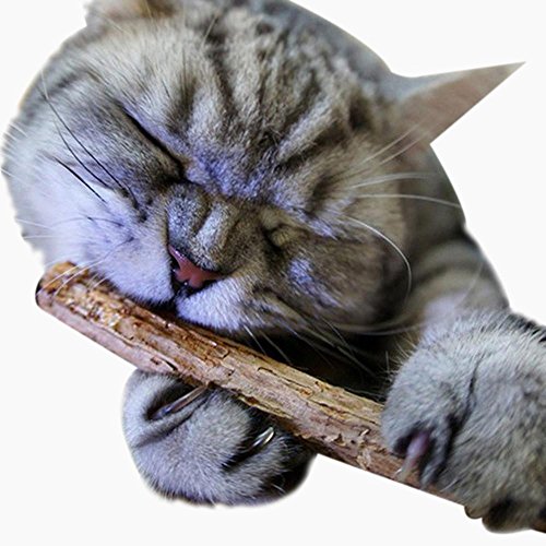 TONSEE Katze Spielzeug 2pcs Katzenminze-Sticks zur spielerischen Zahnreinigung Katzenminze Molar Chew (Braun) von TONSEE