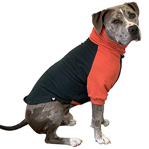 Hunde-Pullover mit Zahn und Honig, Größe XL, Dunkelgrün und Orange von Tooth & Honey
