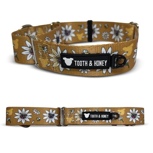 Tooth and Honey Pitbull 1,5 Daisy Pittie Martingale Halsband von Tooth & Honey
