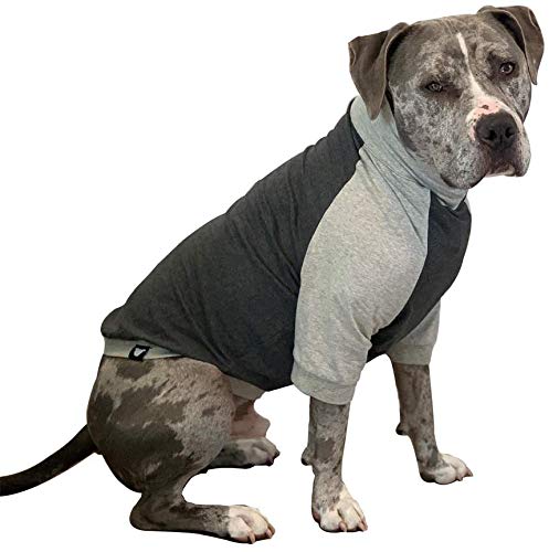 Tooth & Honey Hundebekleidung – Pullover für große Hunderassen, atmungsaktiv, leicht, Sommerhemden – Farbblock dunkelgrau Allergiehemden für große Hunde von Tooth & Honey
