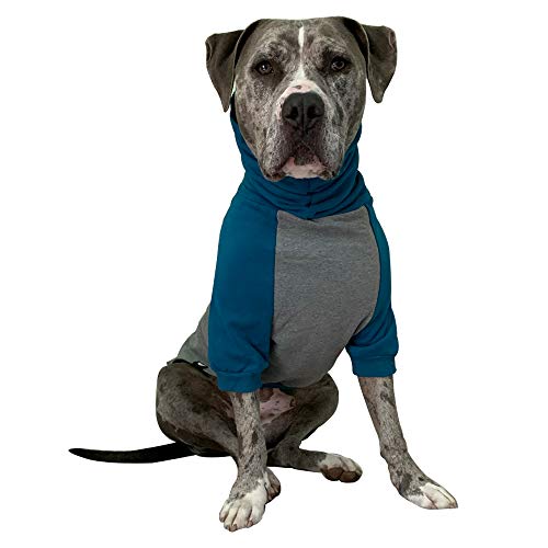 Tooth & Honey Hundepullover für große Hunde, Pitbull, Größe L, M, XL, Blaugrün und Grau von Tooth & Honey