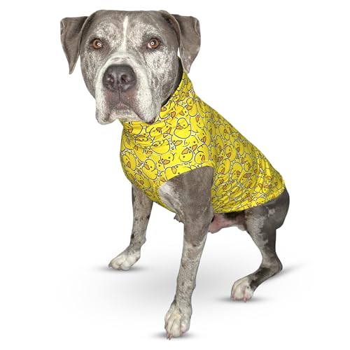 Tooth & Honey Muskelshirt für Pitbulls – leichte dehnbare Hundeweste für Pitbull-Hunde – weiches, atmungsaktives Hunde-Angst-Shirt – bequeme Sommerkleidung für große Rassen Tooth & Honey Muskelshirt für Pitbulls – leichte dehnbare Hundeweste für Pitbull-Hunde – weiches, atmungsaktives Hunde-Angst-Shirt – bequeme Sommerkleidung für große Rassen von Tooth & Honey