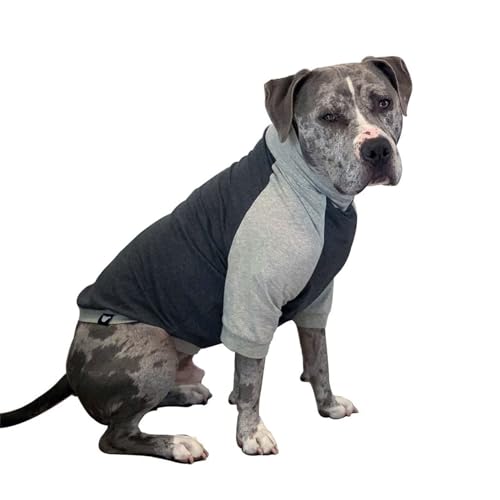 Tooth & Honey Pullover für große Hunde, leichtes Hemd, Farbblock-Shirt, Sommerhemd, Größe XL von Tooth & Honey