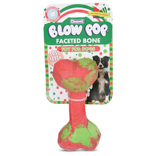 Blow Pop Ombre Geo Bone - Langlebiges Kauspielzeug für Hunde für Aggressive Kauer - Strukturiertes TPR mit Vanilleduft von Tootsie Roll
