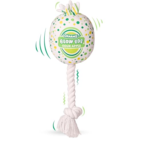Blow Pop Plüsch & Seil Hundespielzeug - Duftender Quietscher Plüsch mit strapazierfähigem Seilstab - Zerr-, Apportier- & Kauspielzeug für Hunde - Erhältlich in Jumbo & Medium Größen - Apfel, Kirsche Blow Pop Plüsch & Seil Hundespielzeug - Duftender Quietscher Plüsch mit strapazierfähigem Seilstab - Zerr-, Apportier- & Kauspielzeug für Hunde - Erhältlich in Jumbo & Medium Größen - Apfel, Kirsche von Tootsie Roll