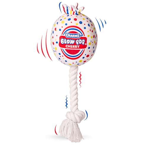 Blow Pop Plüsch & Seil Hundespielzeug - Duftender Quietscher Plüsch mit strapazierfähigem Seilstab - Zerr-, Apportier- & Kauspielzeug für Hunde - Erhältlich in Jumbo & Medium Größen - Apfel, Kirsche Blow Pop Plüsch & Seil Hundespielzeug - Duftender Quietscher Plüsch mit strapazierfähigem Seilstab - Zerr-, Apportier- & Kauspielzeug für Hunde - Erhältlich in Jumbo & Medium Größen - Apfel, Kirsche von Tootsie Roll