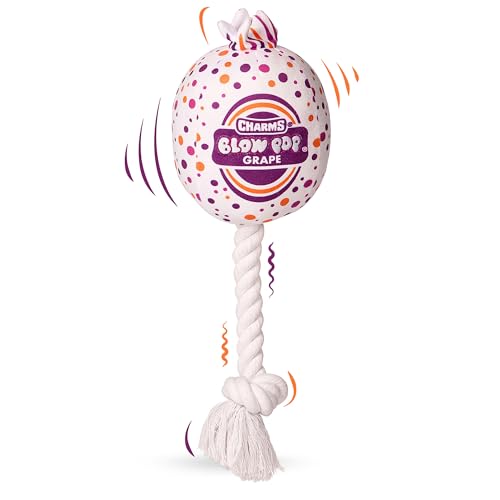 Blow Pop Plüsch & Seil Hundespielzeug - Duftender Quietscher Plüsch mit strapazierfähigem Seilstab - Zerr-, Apportier- & Kauspielzeug für Hunde - Erhältlich in Jumbo & Medium Größen - Apfel, Kirsche Blow Pop Plüsch & Seil Hundespielzeug - Duftender Quietscher Plüsch mit strapazierfähigem Seilstab - Zerr-, Apportier- & Kauspielzeug für Hunde - Erhältlich in Jumbo & Medium Größen - Apfel, Kirsche von Tootsie Roll