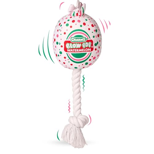 Blow Pop Plüsch & Seil Hundespielzeug - Duftender Quietscher Plüsch mit strapazierfähigem Seilstab - Zerr-, Apportier- & Kauspielzeug für Hunde - Erhältlich in Jumbo & Medium Größen - Apfel, Kirsche von Tootsie Roll