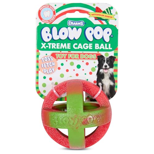 Candy Themed Marble Cage Ball Dog Toys - Heavy Duty Chew Balls for Dogs - Scented Rubber Textured for Dental Wellness - Dubble Bubble, DOTS, Blow Pop, Junior Mints Candy Themed Marble Cage Ball Dog Toys - Heavy Duty Chew Balls for Dogs - Scented Rubber Textured for Dental Wellness - Dubble Bubble, DOTS, Blow Pop, Junior Mints von Tootsie Roll
