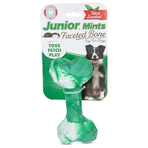 Junior Mints Ombre Geo Bone - Langlebiges Kauspielzeug für Hunde für aggressive Kauer - Strukturiertes TPR mit Vanilleduft Junior Mints Ombre Geo Bone - Langlebiges Kauspielzeug für Hunde für aggressive Kauer - Strukturiertes TPR mit Vanilleduft von Tootsie Roll