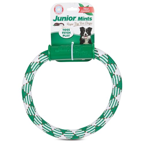 Tootsie Roll Tootsie Seilspielzeug für Hunde - Langlebiges Seil Hundespielzeug für aggressive Kauer - Figur 8 und XL Ringformen - Zahnseide Kauspielzeug für große Hunde - Blow Pop, Dots, Razzles Tootsie Roll Tootsie Seilspielzeug für Hunde - Langlebiges Seil Hundespielzeug für aggressive Kauer - Figur 8 und XL Ringformen - Zahnseide Kauspielzeug für große Hunde - Blow Pop, Dots, Razzles von Tootsie Roll