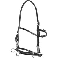 Top Reiter Kappzaum Top Reiter Kappzaum von Top Reiter