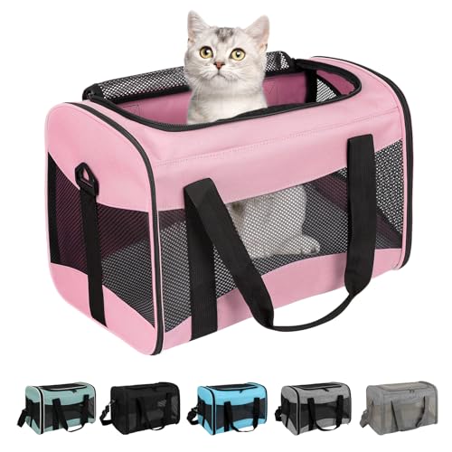 Tragetasche für Katzen, von Fluggesellschaften zugelassen, tragbare und atmungsaktive Haustier-Tragetasche, abnehmbares Fleece-Pad, zusammenklappbare Katzentragetasche für mittelgroße Katzen, kleine Tragetasche für Katzen, von Fluggesellschaften zugelassen, tragbare und atmungsaktive Haustier-Tragetasche, abnehmbares Fleece-Pad, zusammenklappbare Katzentragetasche für mittelgroße Katzen, kleine von Top tasta