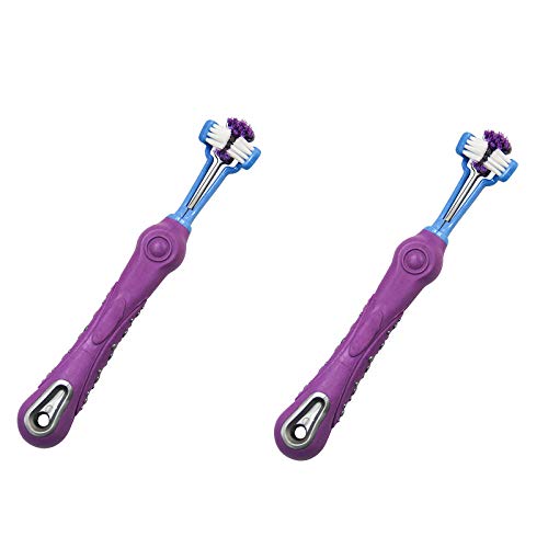 TopHomer Violett 2Stück Haustierzahnbürsten-Set, 3-seitige Dreikopf-Hundezahnbürste, Kunststoffmaterial für Hunde und Katzen zur Mundreinigung Frischer Atem Pflege TopHomer Violett 2Stück Haustierzahnbürsten-Set, 3-seitige Dreikopf-Hundezahnbürste, Kunststoffmaterial für Hunde und Katzen zur Mundreinigung Frischer Atem Pflege von TopHomer