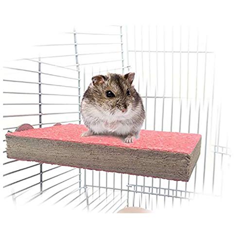 Vogel-Sitzstange, Naturholz, Plattform, Spielzeug, Spielplatz, Pfotenschleifen, für Haustiere, Papageien, Hamster, Eichhörnchen, Zubehör, Ständer, Übungsspielzeug, 3 Stück Vogel-Sitzstange, Naturholz, Plattform, Spielzeug, Spielplatz, Pfotenschleifen, für Haustiere, Papageien, Hamster, Eichhörnchen, Zubehör, Ständer, Übungsspielzeug, 3 Stück von TopHomer