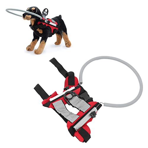 Topiky Blind Dog Harness Guiding Device, Blind Dog Halo, Pet Anti-Collision Ring Zum Schutz und Zum Aufbau von Vertrauen, Ideales Zubehör für Blinde Hunde, um in der Umgebung zu (Rot) von Topiky