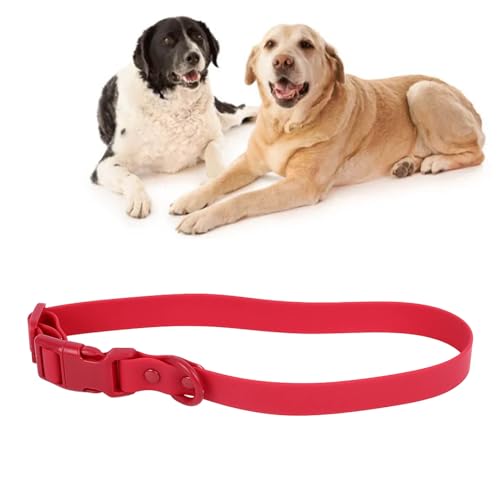 Haustierhalsband, Wasserdichtes, Rostfreies, Verstellbares Hundehalsband, PVC Halsband mit Weichem und Flexiblem Design für Bequemes Tragen, für (31–50 cm/12,2–19,7 Zoll Haustierhalsband, Wasserdichtes, Rostfreies, Verstellbares Hundehalsband, PVC Halsband mit Weichem und Flexiblem Design für Bequemes Tragen, für (31–50 cm/12,2–19,7 Zoll von Topiky