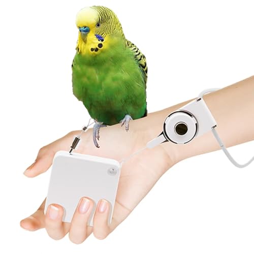 Toplionace Papageien Zugseil Aus Edelstahl 304, Automatischer Teleskop Fußring für Den Vogelauslauf Im Freien (4.5mm) von Toplionace