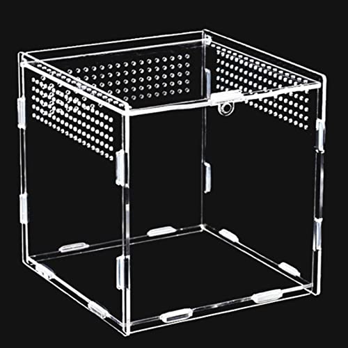 Topspitgo Schnecken Terrarium,Acryl Transparent Transport Box,Terrarium GlasFür Schnecken Spinnen Gecko Hamster Schlangen Schildkröten Terrarium Tragbarer Reptilien Insect Feeding Terrarium von Topspitgo