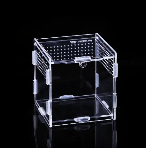 Topspitgo Schnecken Terrarium Acryl Transparente Transport Box Terrarium GlasFür Schnecken Spinnen Gecko Hamster Schlangen Schildkröten Terrarium Tragbarer Reptilien Insect Feeding (9x9x9.5cm) von Topspitgo