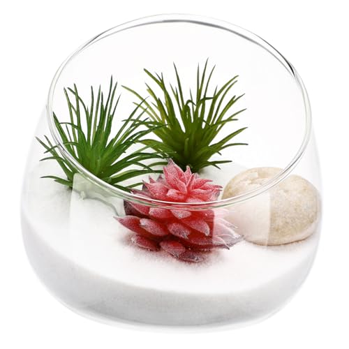 Totority 1 Stück Ökologisches Flaschendekor Dekorationen Saftiges Pflanzen Schräges Terrarium Sukkulenten Flasche Zu Hause Terrarienglas Dekorativ Saftige Flasche Transparent von Totority