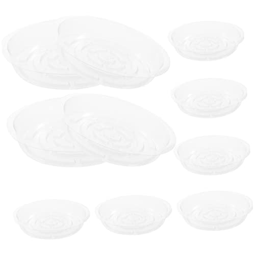 Totority 10 Stück Transparente Pflanzenschale Topfuntertassen Anlage Tablett Eingetopft Drainage Blumentopf Zimmerpflanzen Wasserschale Für Pflanzen Pflanzenschalen Das Haustier von Totority