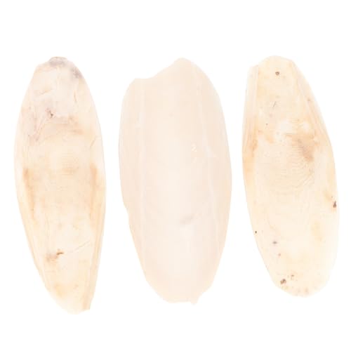 Totority 3stücke Cuttlebone Spielzeug Für Papageien Und Zähneknirschen Calcium-Pendant Für Vögel Und Kleine Haustiere Und Für Tierernährung von Totority