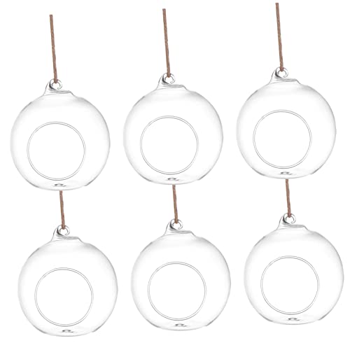 Totority 6 Stück Glasvase nachhaltige Room Decoration wasserpflanze Stands zimmerpflanzen hängender Wandpflanzer Wohnkultur Terrarium Halter Terrarienhalter hängend Hanfseil von Totority