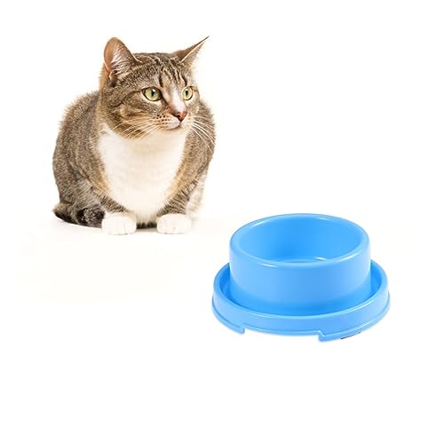 Totority Fressnäpfe Für Welpen Kätzchennäpfe Katzennäpfe Für Futter Und Wasser Futternäpfe Für Haustiere Katzennapf Im Freien Katzenprodukte Wasserspender Für Hunde Welpenschüssel Klein Totority Fressnäpfe Für Welpen Kätzchennäpfe Katzennäpfe Für Futter Und Wasser Futternäpfe Für Haustiere Katzennapf Im Freien Katzenprodukte Wasserspender Für Hunde Welpenschüssel Klein von Totority