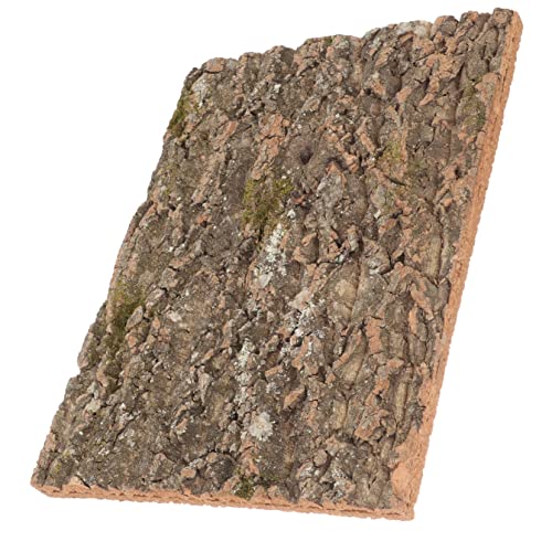 Totority Korkrinde Dekoration für Terrarium Natürliche für Reptilien Schlangen Eidechsen Kletterwand Zubehör für Leopardgeckos und Bartagamen Totority Korkrinde Dekoration für Terrarium Natürliche für Reptilien Schlangen Eidechsen Kletterwand Zubehör für Leopardgeckos und Bartagamen von Totority