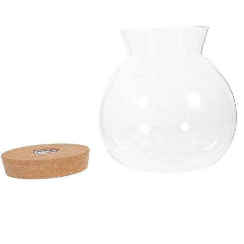 Totority LED Terrarium Glasflasche mit LED Licht Kreatives DIY Mikrolandschaftsgefäß für Fische für Wohnzimmer Schlafzimmer und Badezimmer Transparente Zylinderform Pflegeleicht und Totority LED Terrarium Glasflasche mit LED Licht Kreatives DIY Mikrolandschaftsgefäß für Fische für Wohnzimmer Schlafzimmer und Badezimmer Transparente Zylinderform Pflegeleicht und von Totority