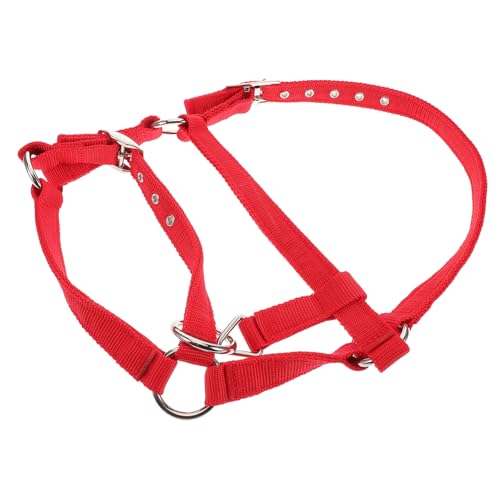 Totority Reittrainingspferd Für Polyseil Halfter Miniatur Pferdehalfter Abreißhalfter Für Pferde Mini Eselhalfter Hobbypferd Halfter Pferdegeschirr Nylon Rot von Totority