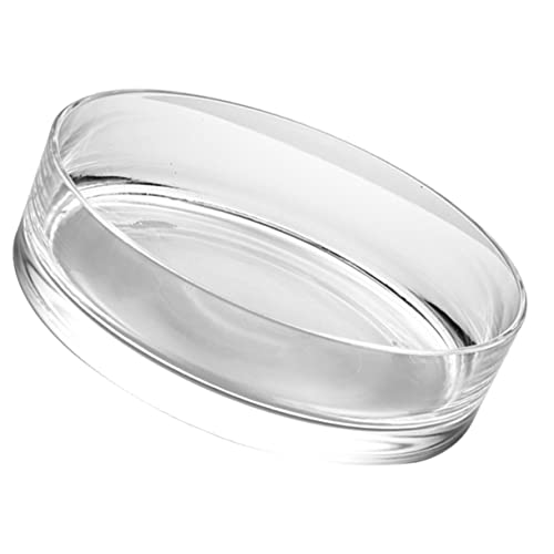 Totority Transparentes Glasblumenvase für Hydroponik Runde Terrarium Dekovase für Hochzeiten und Partys Robustes Design für Pflanzen und Dekoration von Totority
