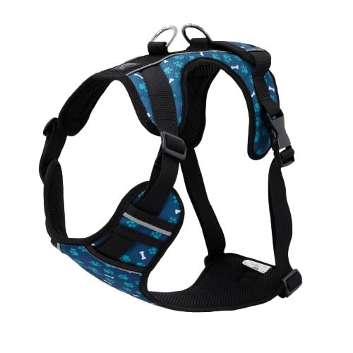 TOTTO - Brustgeschirr für Hunde, Modell Heikul, Größe L, kleines Hundegeschirr, verstellbar, reflektierende Details, Schlaufe und Griff, einfach anzubringen, leicht, mit blauen und grünen TOTTO - Brustgeschirr für Hunde, Modell Heikul, Größe L, kleines Hundegeschirr, verstellbar, reflektierende Details, Schlaufe und Griff, einfach anzubringen, leicht, mit blauen und grünen von Totto