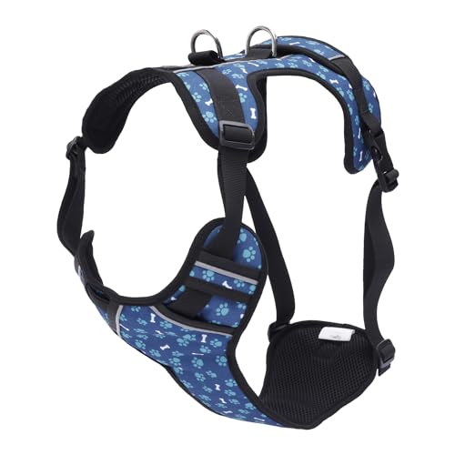 TOTTO - Brustgeschirr für Hunde, Modell Heikul, Größe XL, kleines Hundegeschirr, verstellbar, reflektierende Details, Schlaufe und Griff, einfach anzubringen, leicht, mit blauen und grünen TOTTO - Brustgeschirr für Hunde, Modell Heikul, Größe XL, kleines Hundegeschirr, verstellbar, reflektierende Details, Schlaufe und Griff, einfach anzubringen, leicht, mit blauen und grünen von Totto
