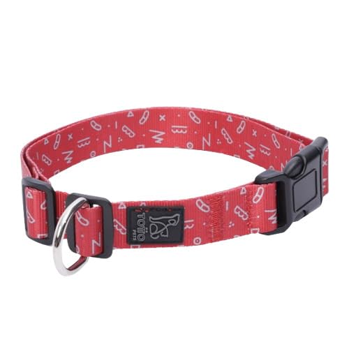 TOTTO - Halsband für große Hunde, Modell Mylu, Größe L, verstellbares Hundehalsband, robuste Beschläge, Sicherheitsblech, D-Ring für Leine, roter Kamm TOTTO - Halsband für große Hunde, Modell Mylu, Größe L, verstellbares Hundehalsband, robuste Beschläge, Sicherheitsblech, D-Ring für Leine, roter Kamm von Totto