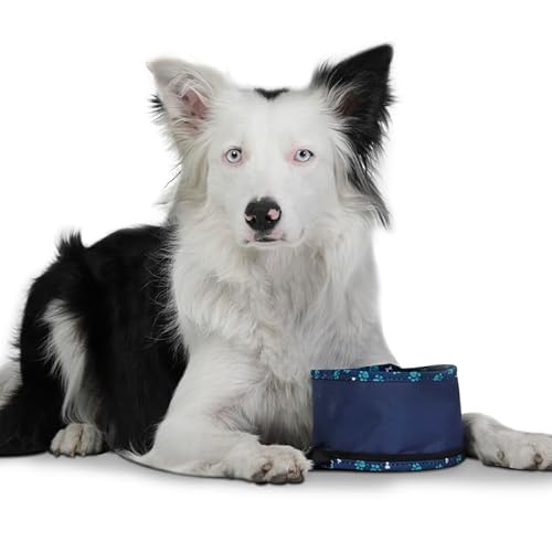 TOTTO - Tragbare Hundetränke, Modell Vito, Fassungsvermögen 3,79 l, misst 15 x 10 cm, mit Karabiner zum Befestigen an der Leine, faltbar mit Reißverschluss, robust, leicht zu waschen, Knochenmuster TOTTO - Tragbare Hundetränke, Modell Vito, Fassungsvermögen 3,79 l, misst 15 x 10 cm, mit Karabiner zum Befestigen an der Leine, faltbar mit Reißverschluss, robust, leicht zu waschen, Knochenmuster von Totto