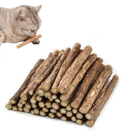 Katzenminze Sticks, Catnip Toy, 30PCS Matatabi Katzen Kauhölzer, Katzenminze Spielzeug, Katzenminze Sticks zum Schleifen von Zähnen, Lindert Ängste, Einsamkeit und Stress bei Katzen von Toulifly