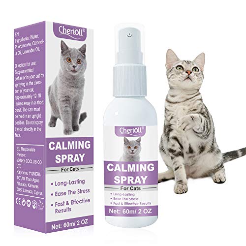 Pheromone Katzen, Beruhigungsmittel für Katzen, Antikratzspray Katzen, Calming Spray, Beruhigung für Katzen, Anti Stress, Wirkt Schnell & Effektiv Gegen Stress, Alternative zu Beruhigungstabletten von Toulifly