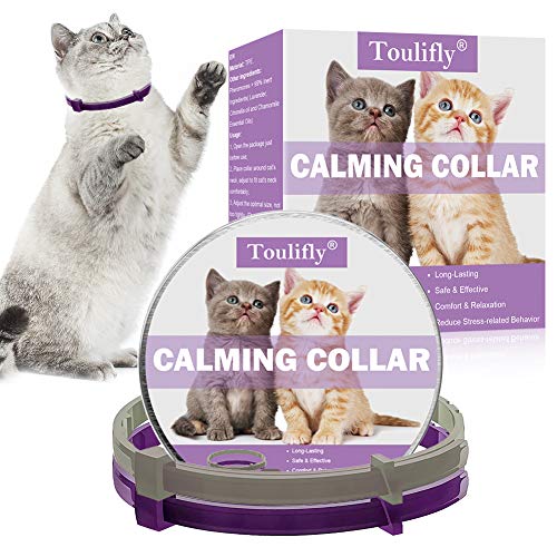 Toulifly Beruhigendes Halsband, Katzenhalsband zur Beruhigung von Angst und Aggression, Pheromonen für Katzen und Katzen, lindert Angstzustände, Konstante Beruhigung -2 Pack von Toulifly