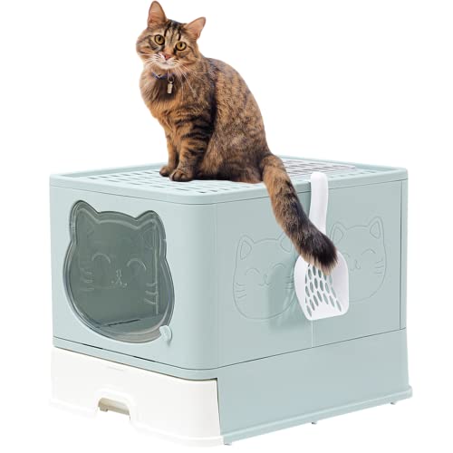 TownTime Katzentoilette mit Deckel, spritzwassergeschützte, faltbare Katzentoilette mit Aktivkohle, hält die Luft frisch, Schubladentoilette, einfach und schnell zu reinigen, Grün von TownTime