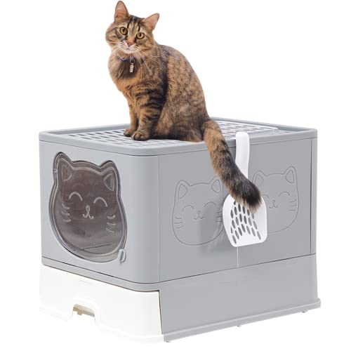 TownTime Katzenklo mit Deckel und Aktivkohlefilter, XXL, Katzentoilette geschlossen, geruchsfrei, Grau von TownTime