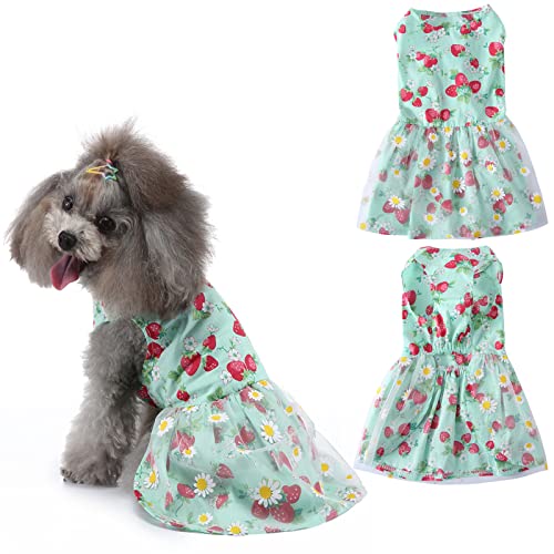 Toysructin Hundekleider mit Blumenmuster, Kleidung für kleine, mittelgroße Hunde, Mädchen, niedliches Erdbeer-Gänseblümchen-Muster, Hunde-Prinzessin-Spitzenkleid, Hunde-Blumenrock, Kostüm von Toysructin