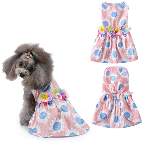 Toysructin Hundekleider mit Blumenmuster, Kleidung für kleine, mittelgroße Hunde, Mädchen, niedliches Erdbeer-Gänseblümchen-Muster, Hunde-Prinzessin-Spitzenkleid, Hunde-Blumenrock, Kostüm von Toysructin