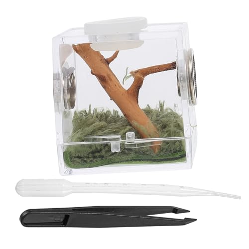 Toyvian Spinnenhabitatbox 1 Satz Tragbare Spinnenzuchtbox Kunststoffterrarium für Vogelspinnen Atmungsaktiv Leicht und Kompakt Einfach zu Reinigen für Terrarien Toyvian Spinnenhabitatbox 1 Satz Tragbare Spinnenzuchtbox Kunststoffterrarium für Vogelspinnen Atmungsaktiv Leicht und Kompakt Einfach zu Reinigen für Terrarien von Toyvian