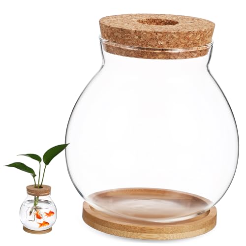 Desktop Tank mit Holzunterlage Hydroponisches Terrarium für Betta Fische Bambusmatte zur Dekoration von Toyvian