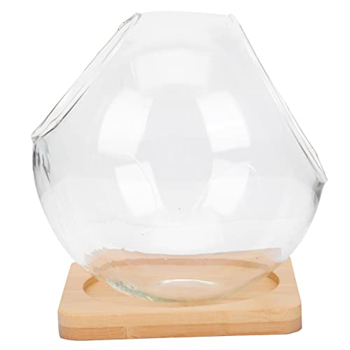 Toyvian 1 Satz Doppelte Flasche Mini Blumentöpfe Mikroterrarium Dekorativ Kakteen Blumen-Terrarium Terrarium Blumentopf Pflanzen Terrariumvase Mikro-landschaftsflasche Glas Toyvian 1 Satz Doppelte Flasche Mini Blumentöpfe Mikroterrarium Dekorativ Kakteen Blumen-Terrarium Terrarium Blumentopf Pflanzen Terrariumvase Mikro-landschaftsflasche Glas von Toyvian