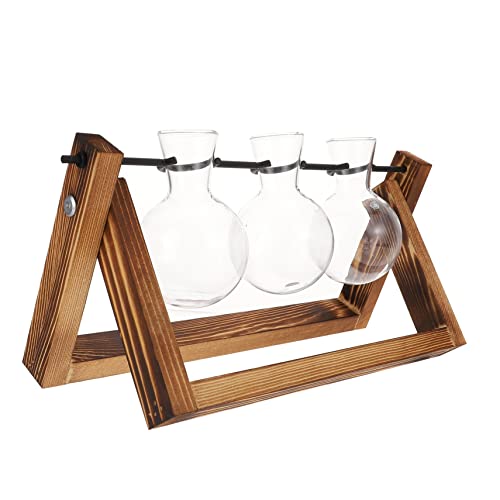 Toyvian 1 Satz Grüner Pflanzenbehälter Vase drinnen hydroponische Pflanzen Anlage Wasser zimmerpflanzen House Plants terrarien einmachgläser Pflanzenterrarium Ausbreitungsstationen hölzern von Toyvian