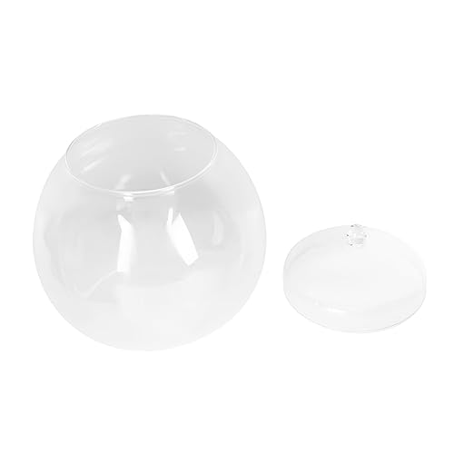 Toyvian 1 Satz Micro Landschaftsflasche mit DIY Terrarium für Pflanzen Glasflasche zur Dekoration von Innenräumen Vielseitige Aufbewahrung für Arrangements von Toyvian