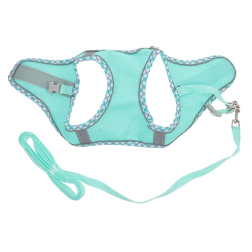 Toyvian 1 Satz Transportbox Für Haustiere Körperpflege Führen Bausatz Kragen Hundegeschirr Ausbildung Klein Leine Gehen Zubehör Geschirr Für Große Hunde Welpengeschirr Sky-Blue Polyester von Toyvian